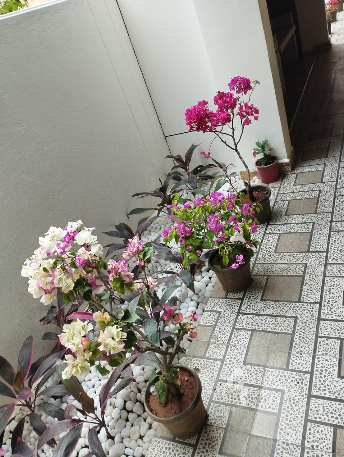 Annai Residency Hotel Vellore Luaran gambar